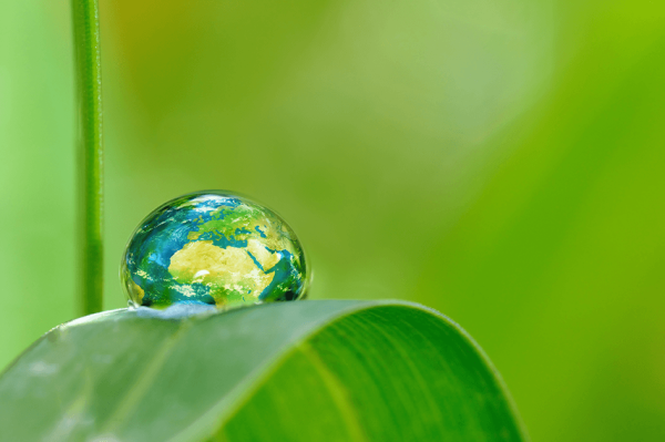 Le recyclage du papier et ses apports environnementaux